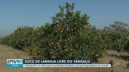 Tarifaço do Trump: anúncio de isenção da taxa de 50% alivia produtores de suco de laranja