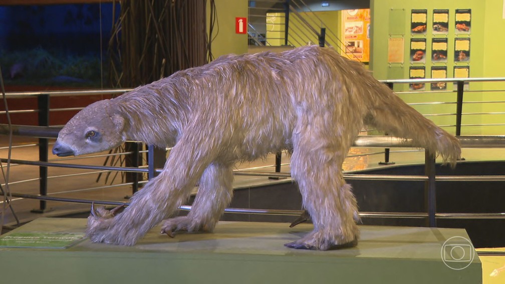 A Era do gelo foi época de animais gigantes， como a preguiça pré-histórica， que pode chegar a 6 metros de comprimento. — Foto: Reprodução/ Jornal Nacional