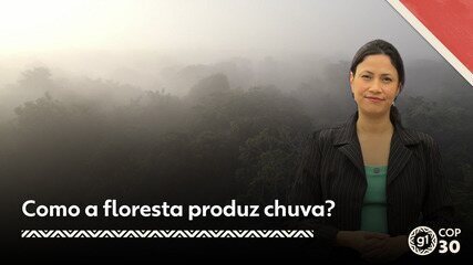 COP30 - Como a floresta produz chuva?