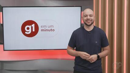 g1 em 1 minuto: Família faz trocadilhos com nome de bebê em 'mesversários' temáticos