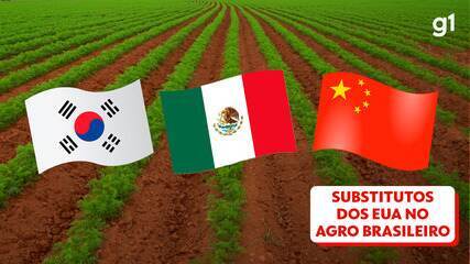 Veja os países que poderiam substituir os EUA como clientes do agro brasileiro